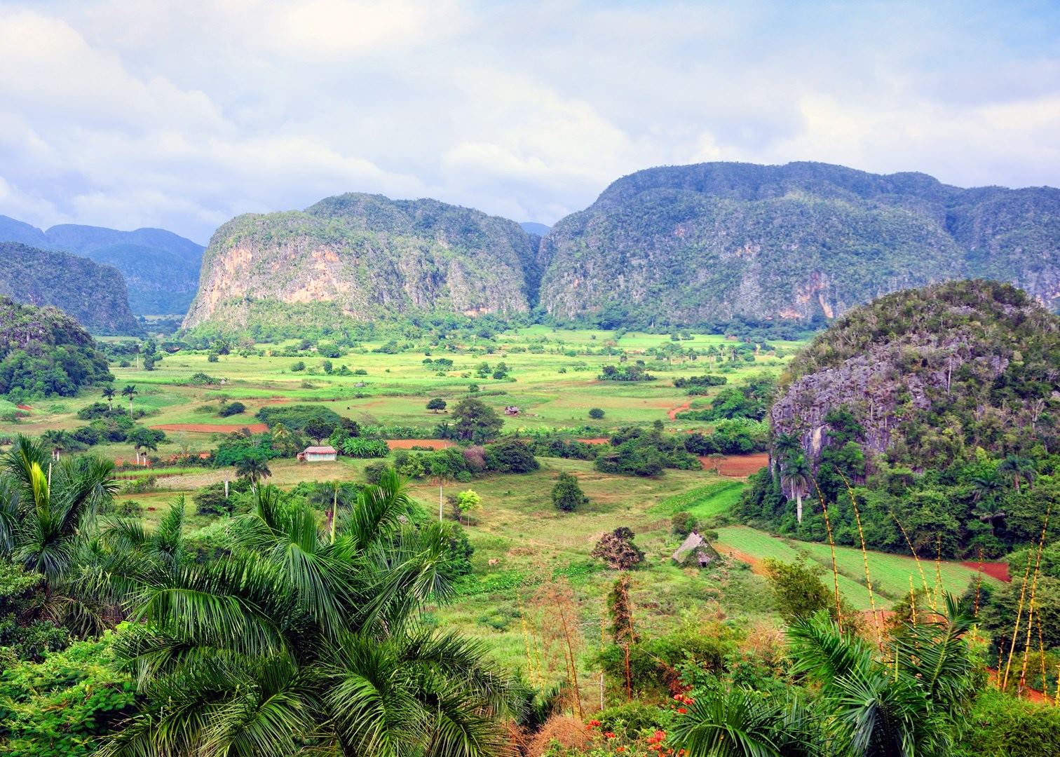 Havana Viñales Tobacco Tour - 10 hours - Image 4