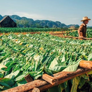 cuba Viñales