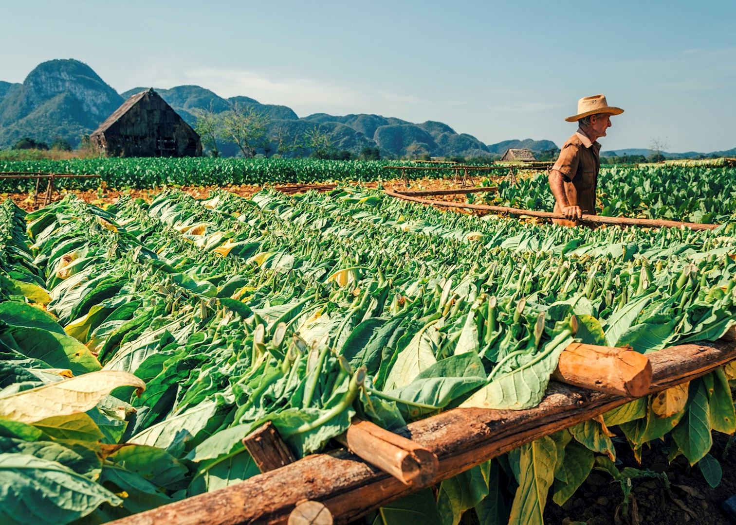cuba Viñales