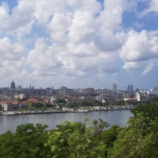 Havana Landscape