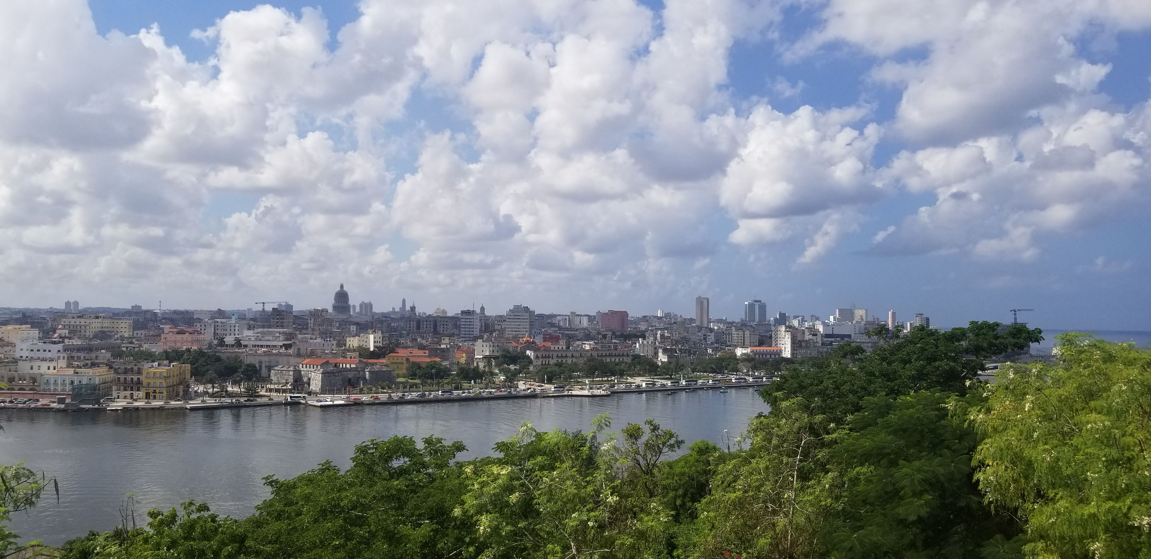Havana Landscape