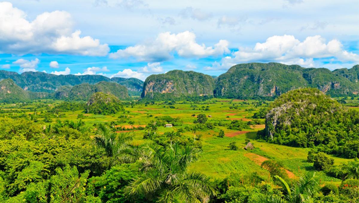 Havana Viñales Tobacco Tour - 10 hours - Image 2