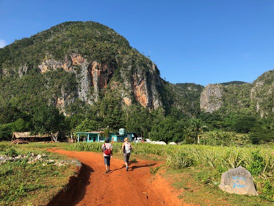 Havana Viñales Tobacco Tour - 10 hours - Image 7